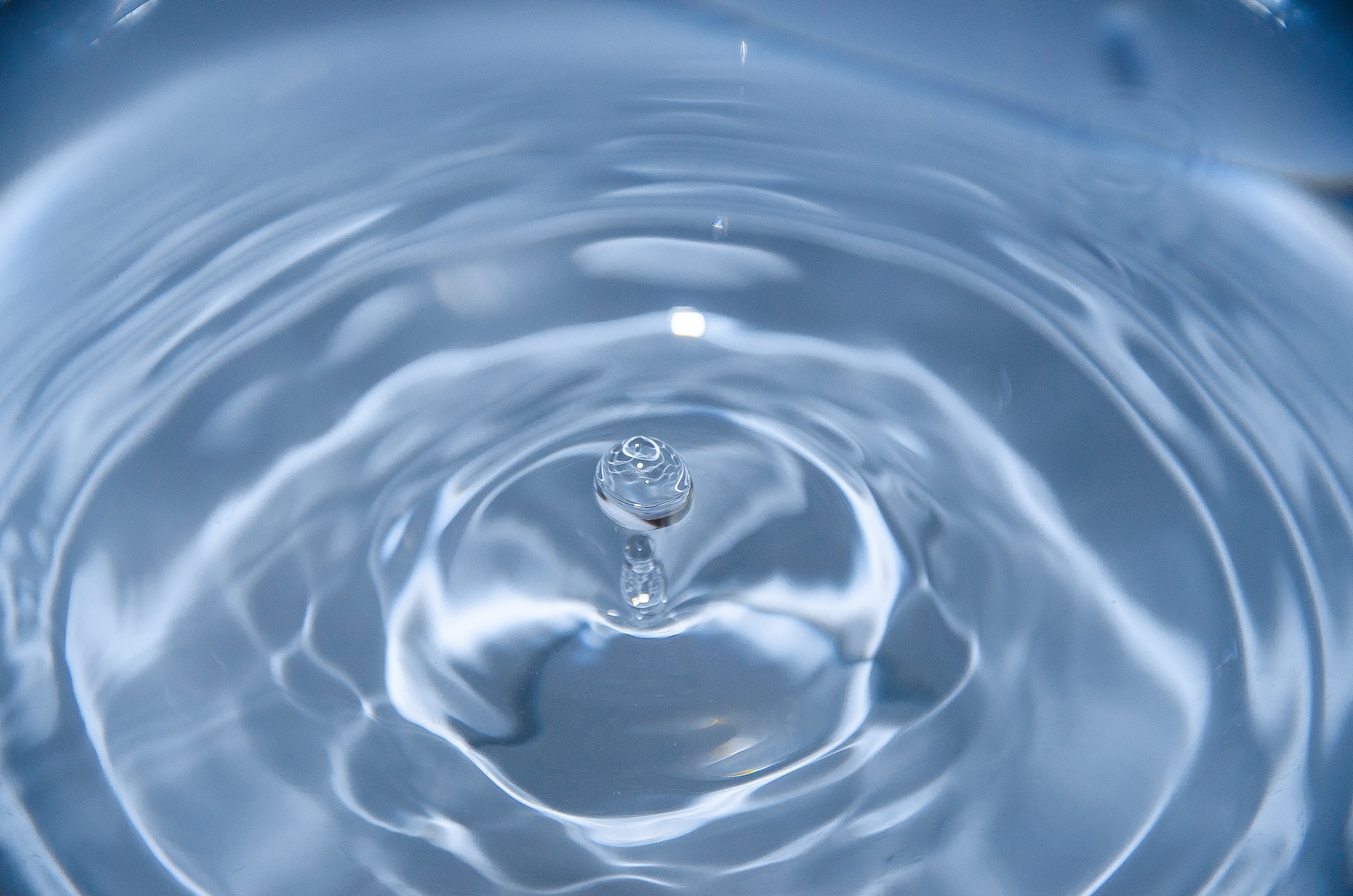 ADAPT au Water Expo 2023 – l’eau comme ressource clé