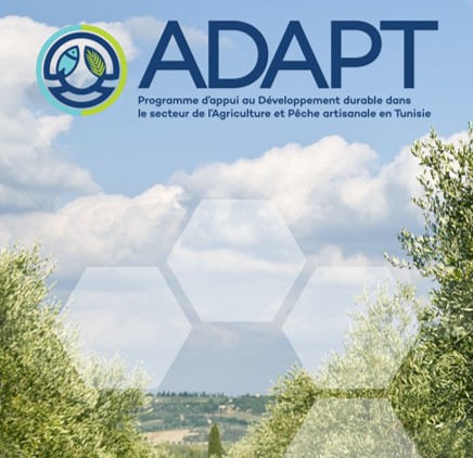 Plateforme_ADAPT_IMG